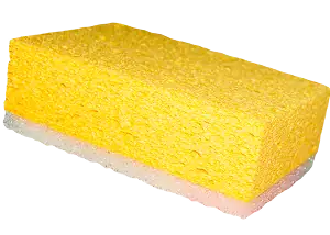 Sponge